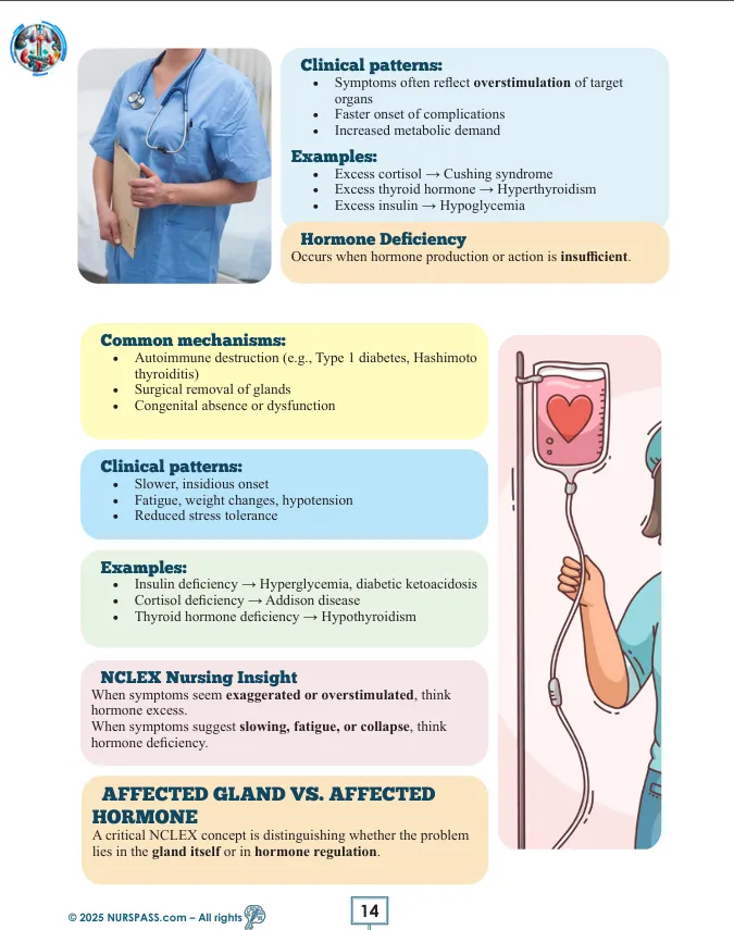 Endocrine & Metabolic Disorders for NCLEX-RN Book - Image 7