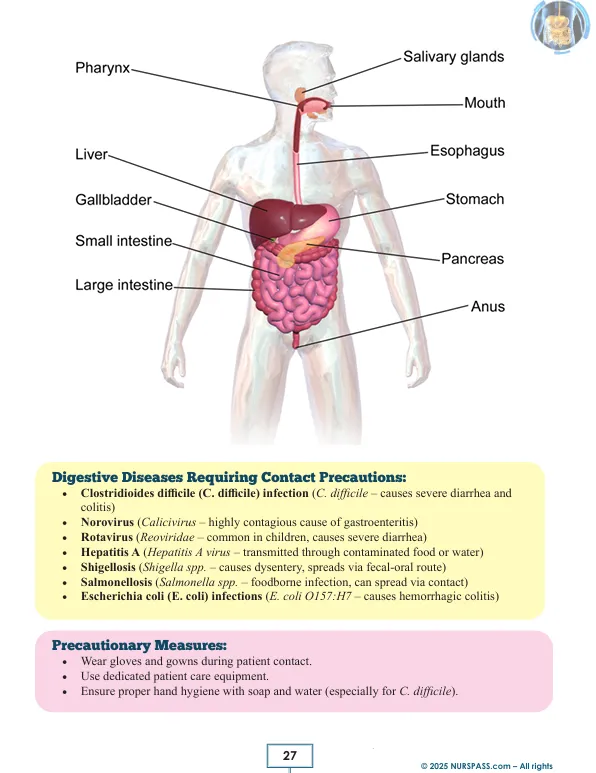 Digestive and Musculoskeletal System Notes for NCLEX-RN Book - Image 11
