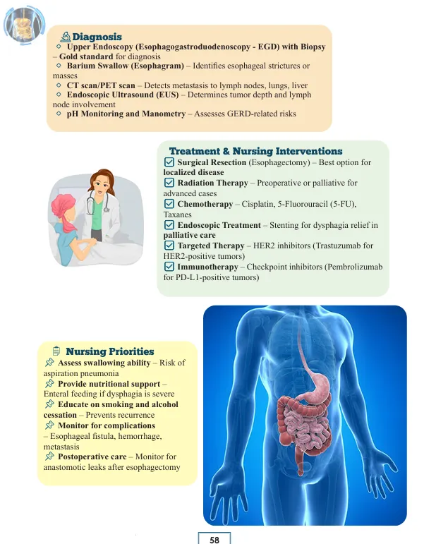 Digestive and Musculoskeletal System Notes for NCLEX-RN Book - Image 9