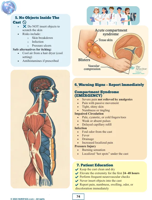 Digestive and Musculoskeletal System Notes for NCLEX-RN Book - Image 8