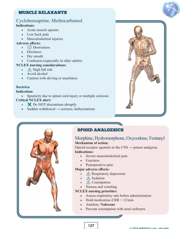 Digestive and Musculoskeletal System Notes for NCLEX-RN Book - Image 3