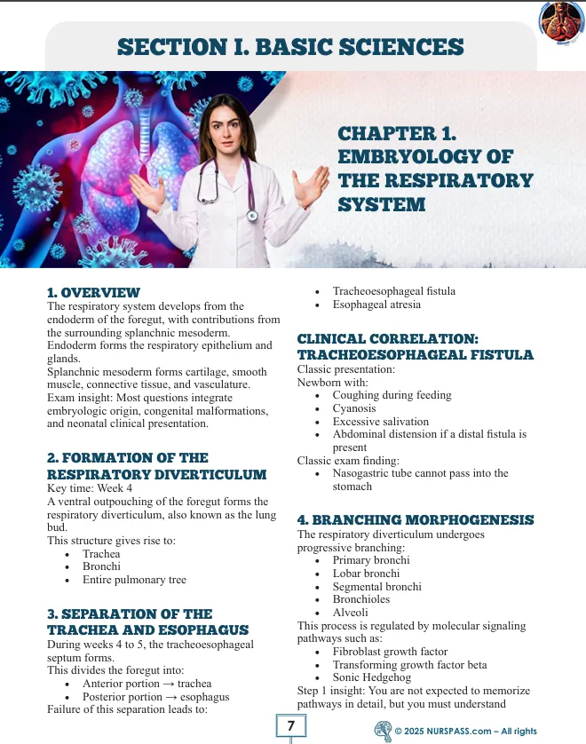 Respiratory System for USMLE Step 1 - Image 5