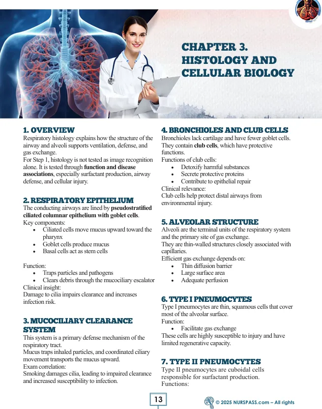 Respiratory System for USMLE Step 1 - Image 6