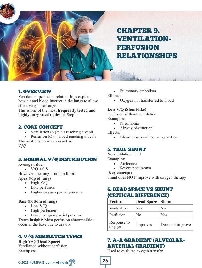 Respiratory System for USMLE Step 1 - Image 8