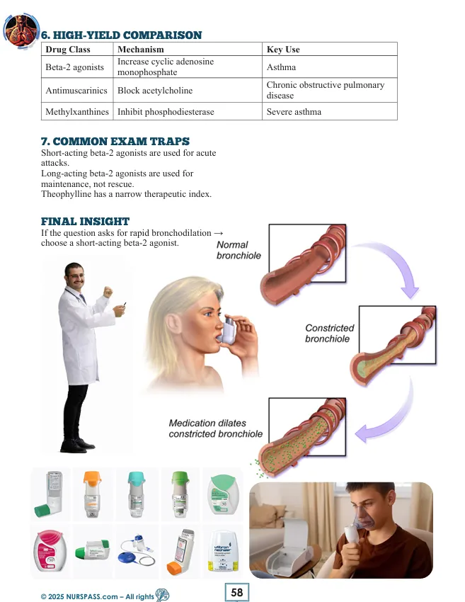 Respiratory System for USMLE Step 1 - Image 11