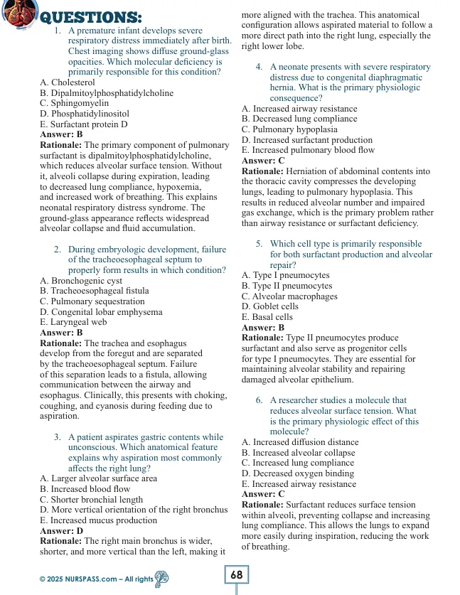 Respiratory System for USMLE Step 1 - Image 13