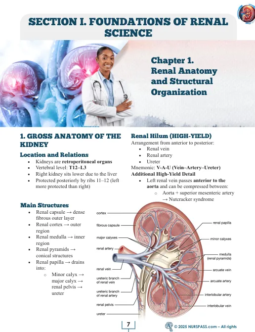 Renal System for USMLE Step 1 - Image 4