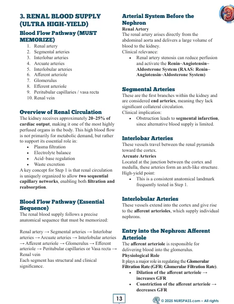 Renal System for USMLE Step 1 - Image 5