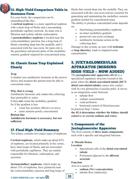 Renal System for USMLE Step 1 - Image 7