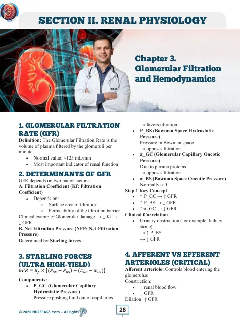 Renal System for USMLE Step 1 - Image 9