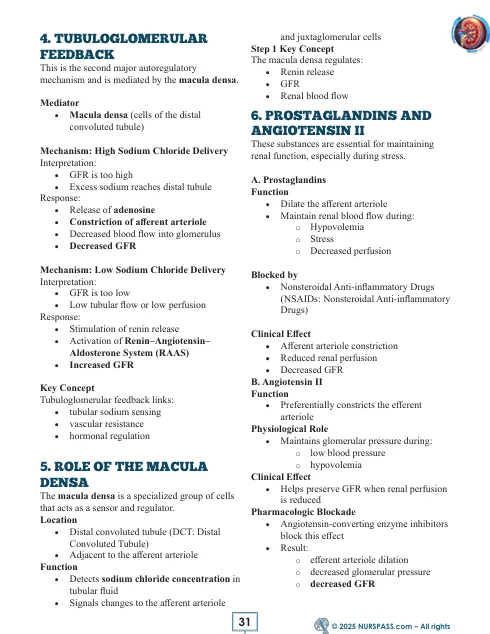 Renal System for USMLE Step 1 - Image 10