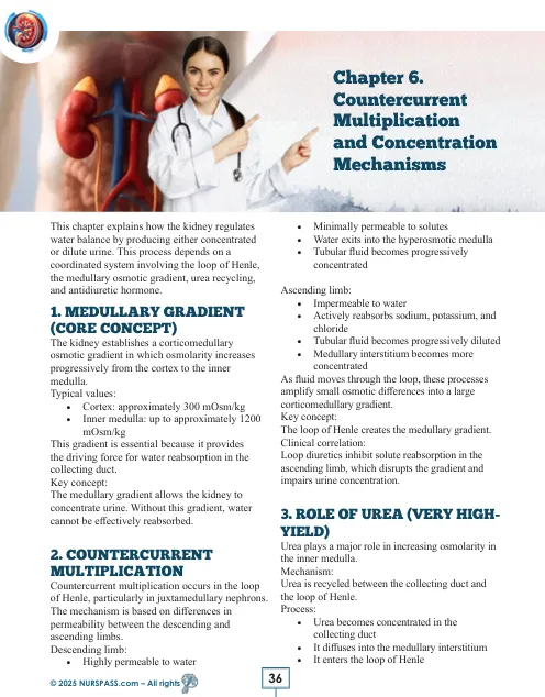 Renal System for USMLE Step 1 - Image 12