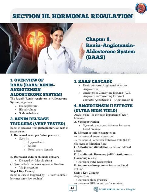 Renal System for USMLE Step 1 - Image 13